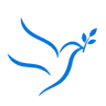 Astral Solutions